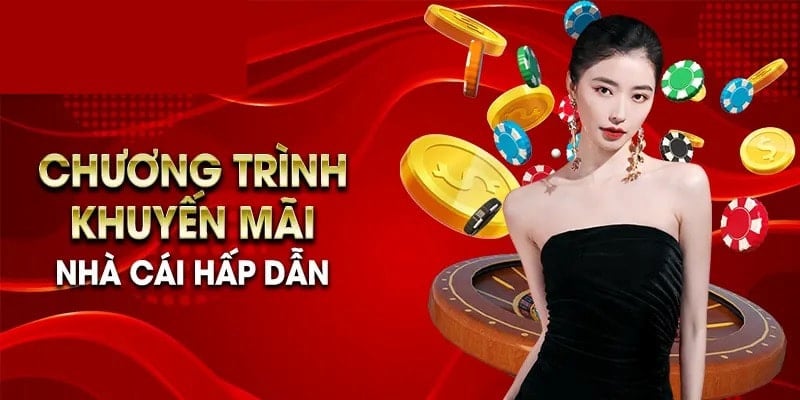 Tổng hợp khuyến mãi km88